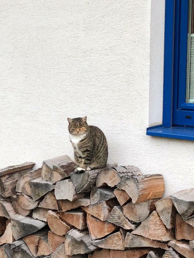 Willa Haus Sonnenweg Mariapfarr Zewnętrze zdjęcie